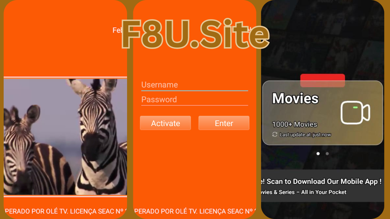 Netfly apk